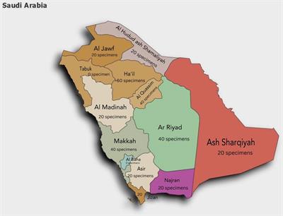 Cross-sectional investigation of mycological diagnosis challenges in Saudi Arabia